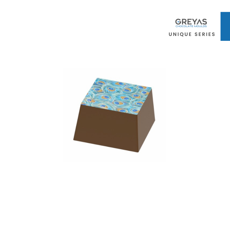 CM 1746 TRANSFER CHOCOLATE MOULD