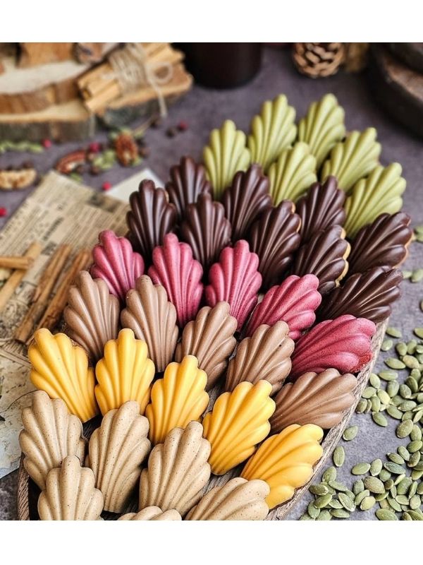 CM 3589 PRALINE CHOCOLATE MOULD