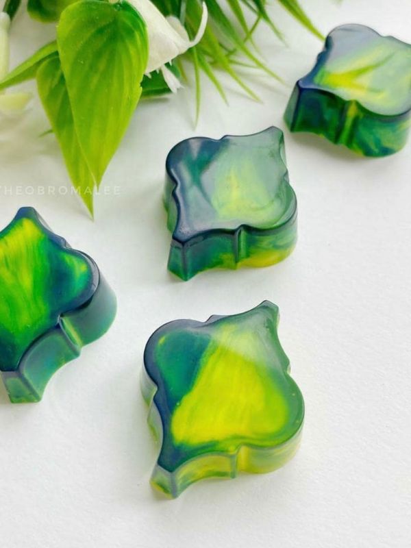 GREYAS CHOCOLATE MOULDS