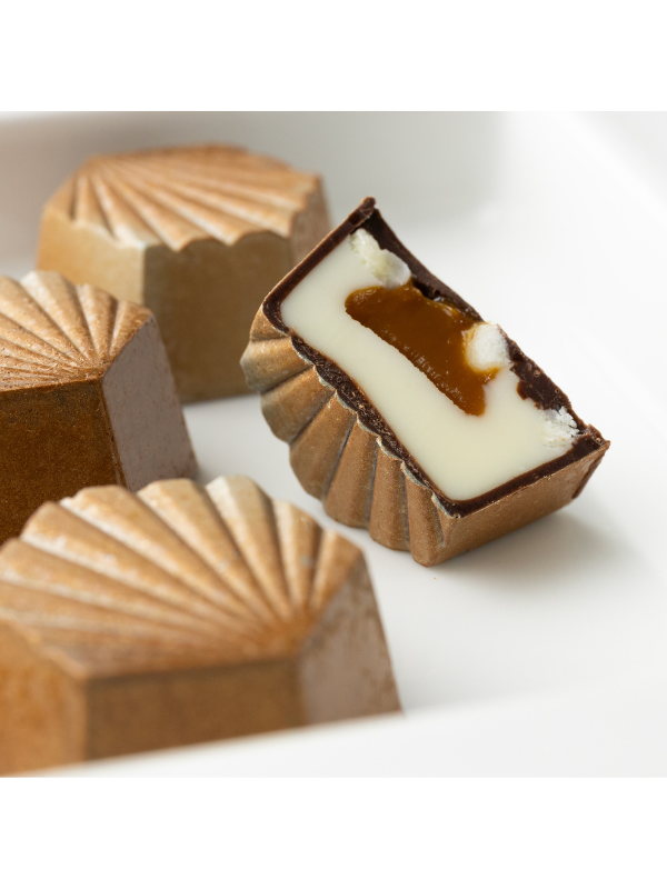 CM 3812 SUNSHINE PRALINE CHOCOLATE MOULD