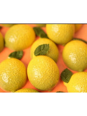 CM 4054 LEMON PRALINE CHOCOLATE MOULD