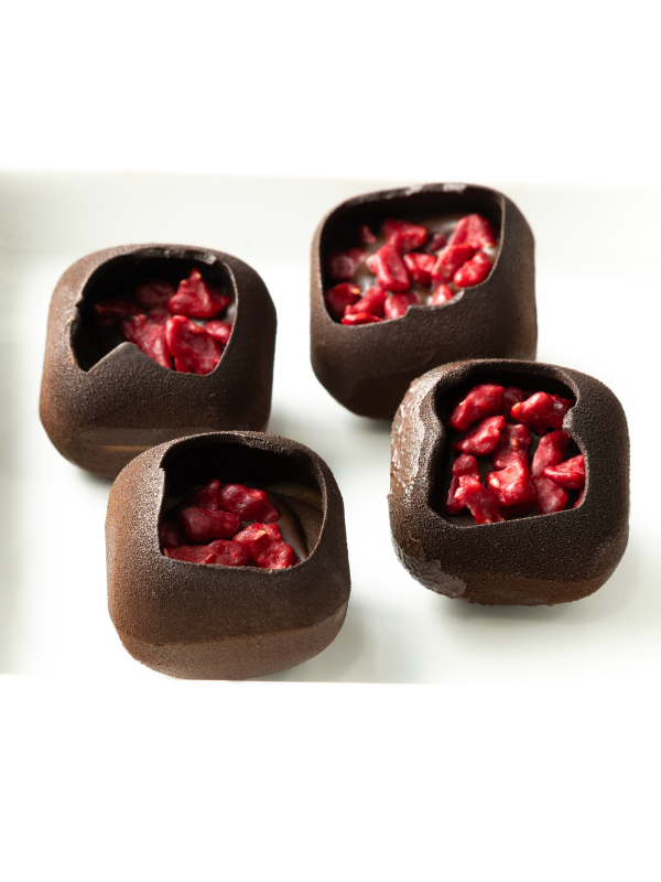 CM 4103 SOFT SQUARE 9gr PRALINE CHOCOLATE MOULD