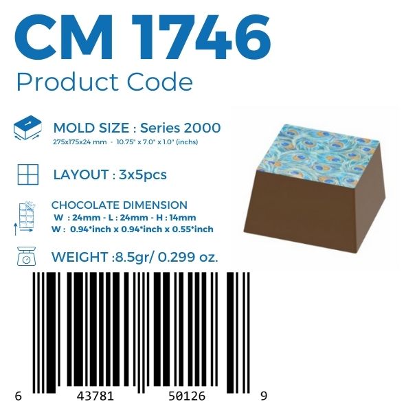 CM 1746 TRANSFER CHOCOLATE MOULD
