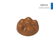 CM 1580 ROCHE PRALINEN SCHOKOLADENFORM