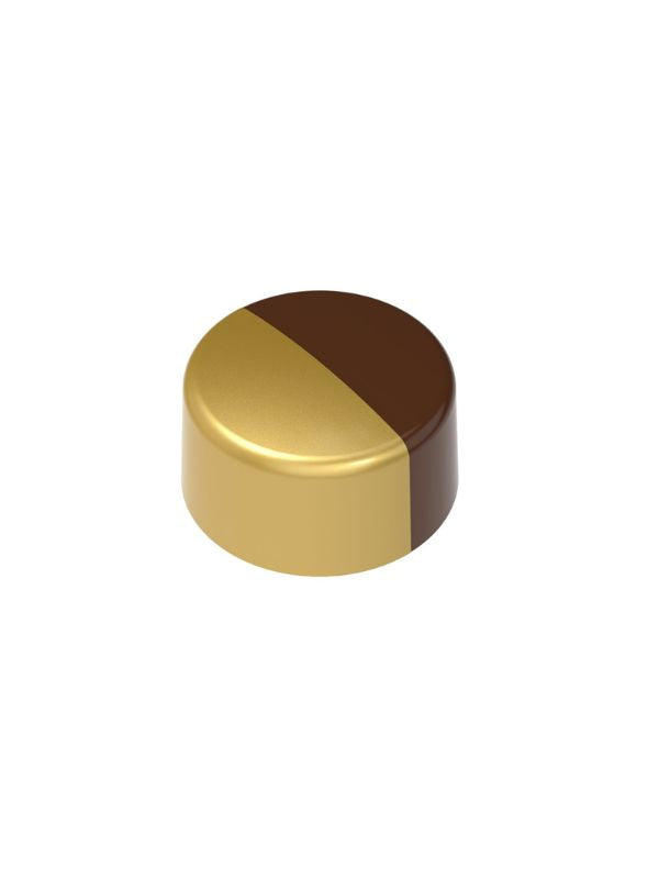 EP 020 ACCESSOIRE DE COLORATION POUR MOULE