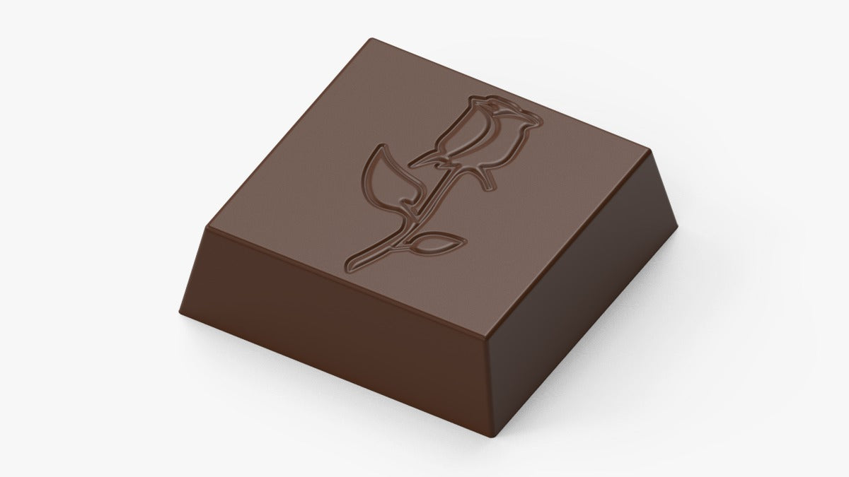 CM 4325 CHOCOLATE MOULD